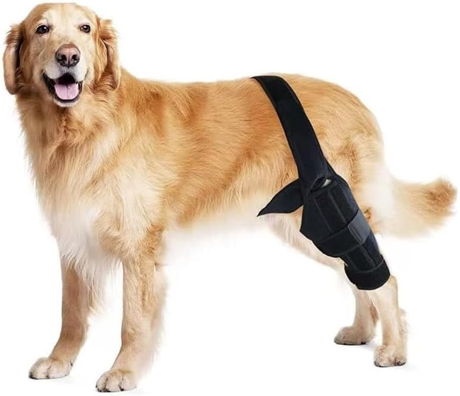 Medium Dog Knee Brace for Torn Acl Hind Leg for Support with Cruciate Ligament Injury, Better Recovery with Dog Leg Braces for Back Leg (XS, Black) image number 3