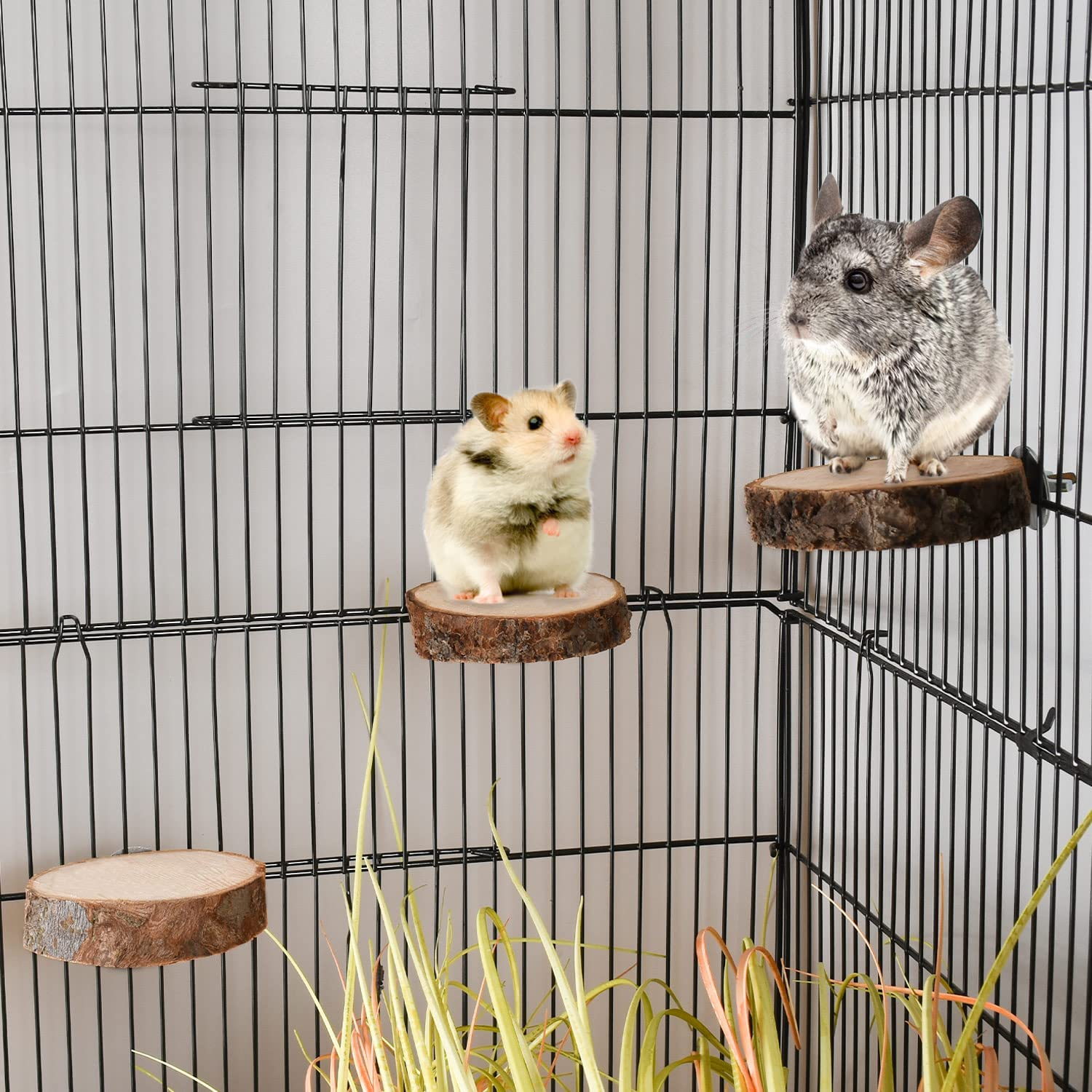 18 PCS Bird Perches Stand Toy, Natural Wood Parrot Perch Stand Bird Cage Branches Platform Accessories for Parakeets Cockatiels Conures Macaws Finches Love Birds image number 5