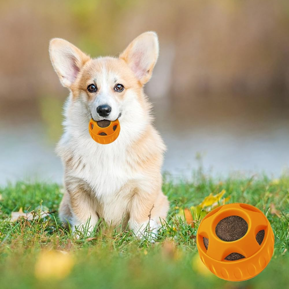 XPJBKC Lick Ball for Dogs, Dog Toy Ball, Woof Pupsicle, Durable Lick Ball Dog Set, Pupsicle Dog, Anxiety Relieve Interactive Dog Toy (Ball + Tray) image number 6