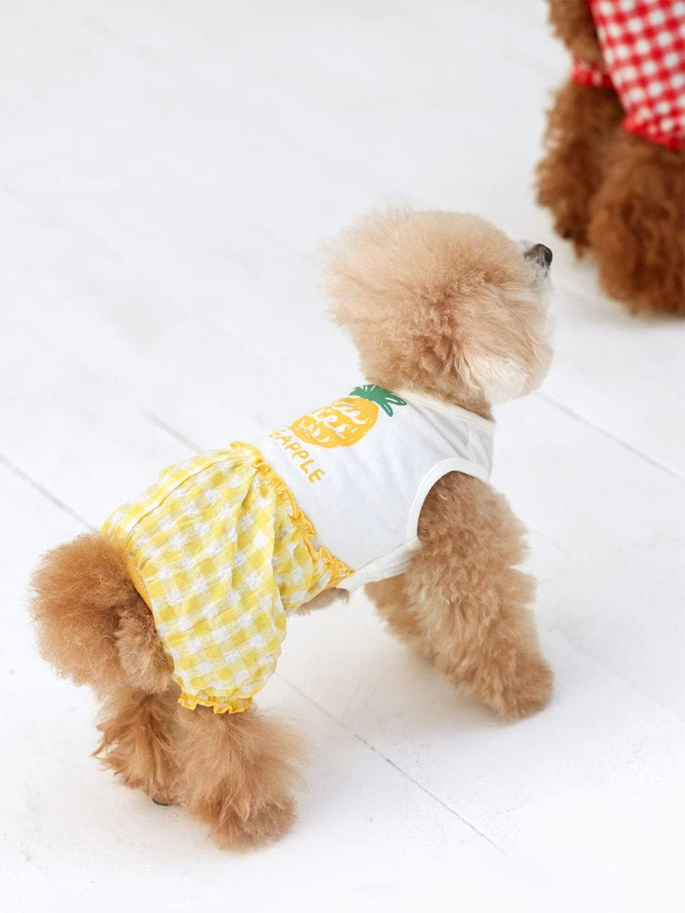 Dog Life Fruit Puff Pants Yellow Dog Large Size
