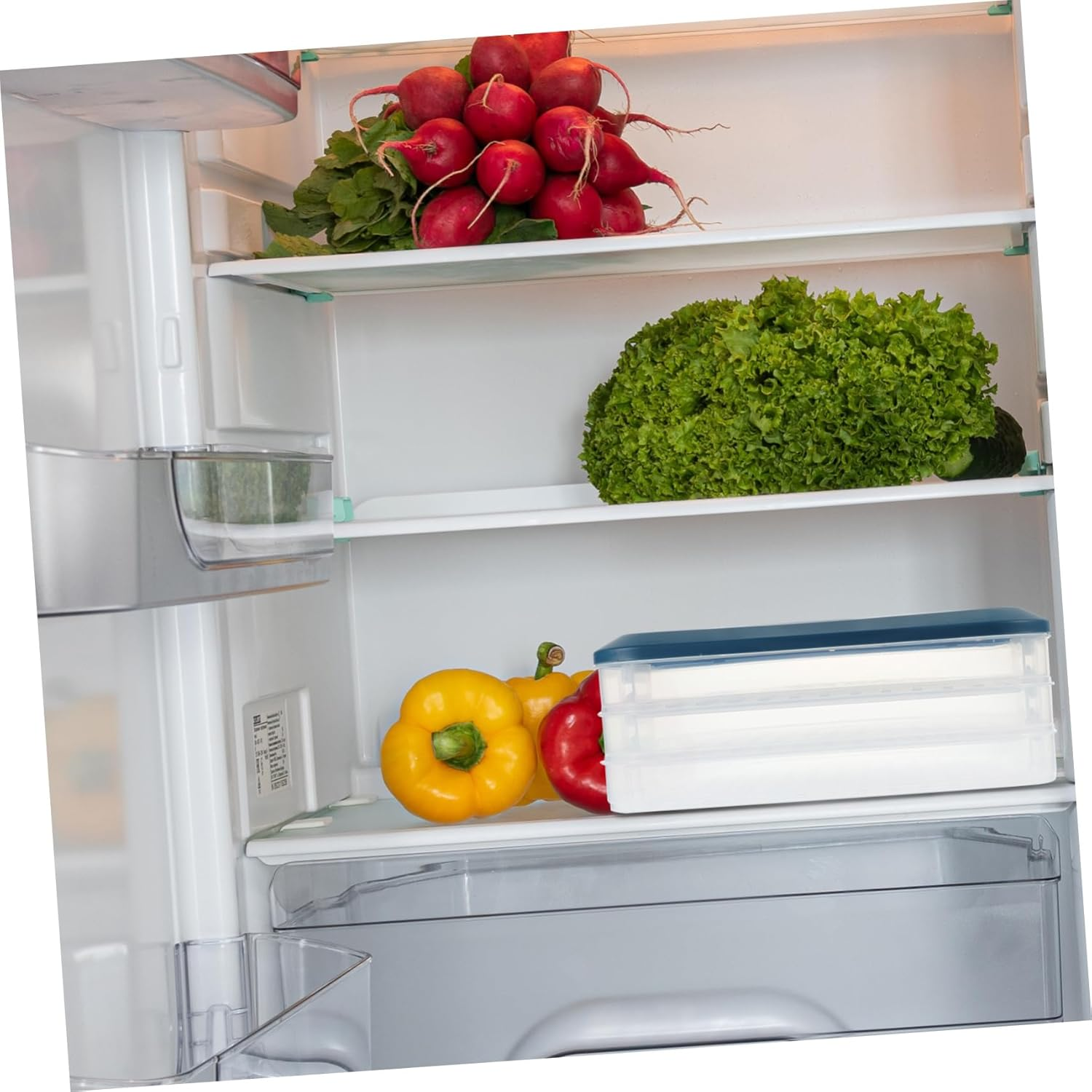 BRIGHTFUFU Fridge Multi-Layer Preservation Box for Dumplings Compact Non-Skid Design for Efficient Food Storage Safe Material for Home and Dorm Use image number 6