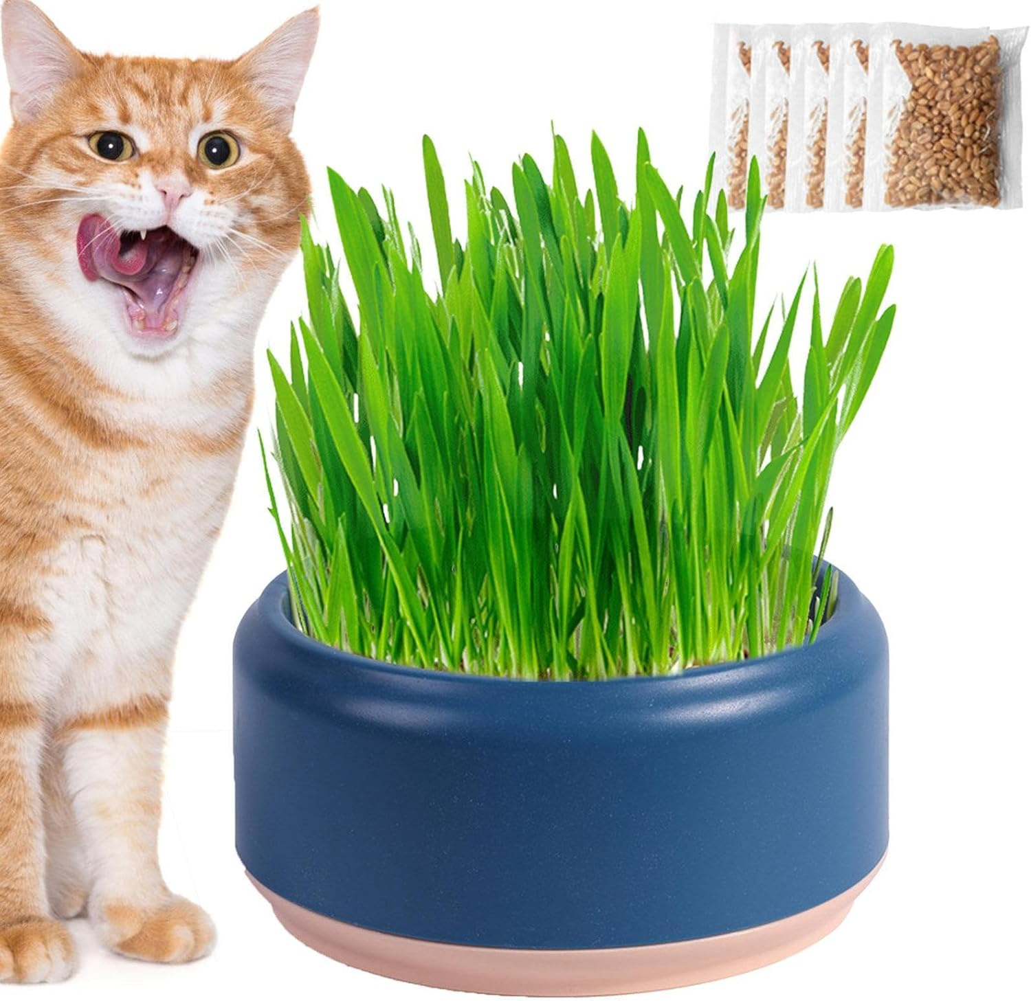 Cat Grass Growing Kit- Cat Grass Planter Tray-Organic Cat Grass Growing Kit for Indoor Cats Pet Hydroponic Cat Grass Growing Planter - Cat Grass for Indoor Cats Pet Accessories image number 2
