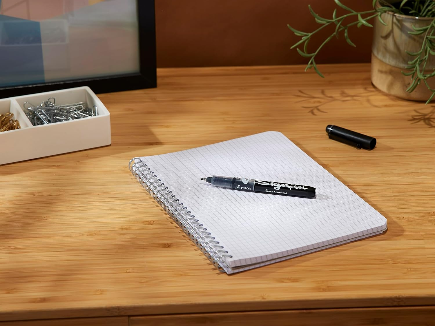 Pilot V Sign Pen Liquid Ink 2.0 Mm Tip - Black, Single Pen image number 1