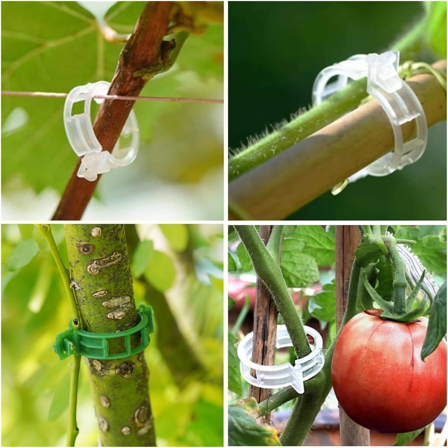 Secured Plastic Plant Clip, Plant Support Clips Reusable Garden Clips, Plastic Trellis Clips Plant Support Clips Tomato Grape Vine Vegetables Plant Fixing Clips (Green - 100Pcs) - Black - 100Pcs image number 7