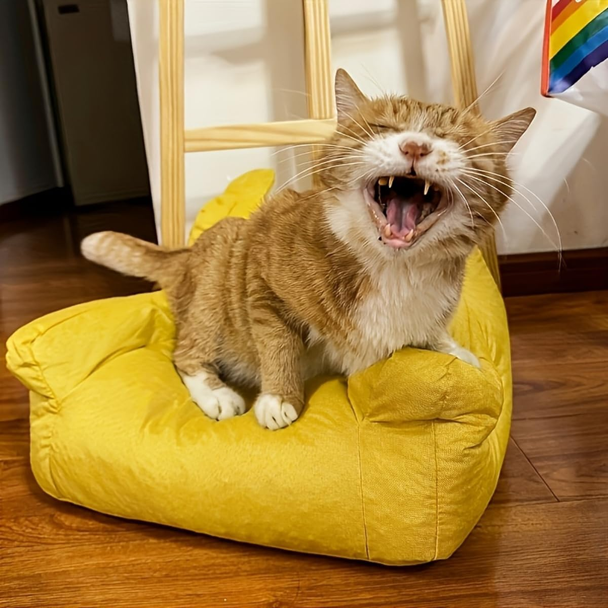 AIMALL Pet Sofa Chair, Plush Bear-Shaped Small Sofa for Cats & Small Dogs, Comfortable Lazy Lounge with Armrests, Non-Slip, Soft Cushion for Living Room & Bedroom - 3 Colours image number 2