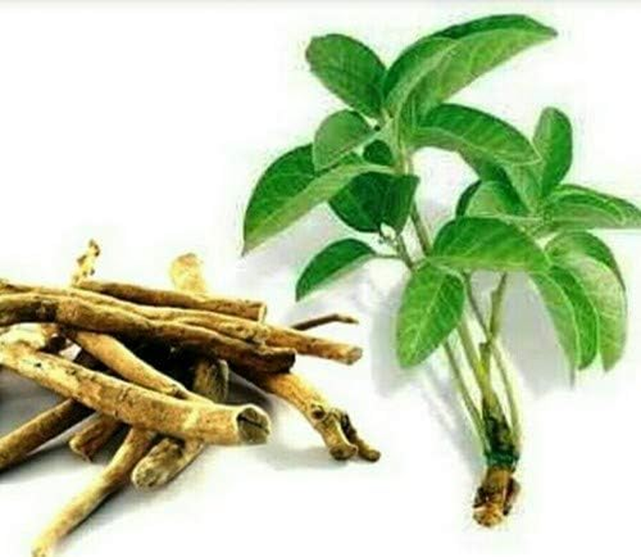 Ashwagandha/Amukkara Kizhangu Root 500 Gram/ 1.1 Pounds image number 1