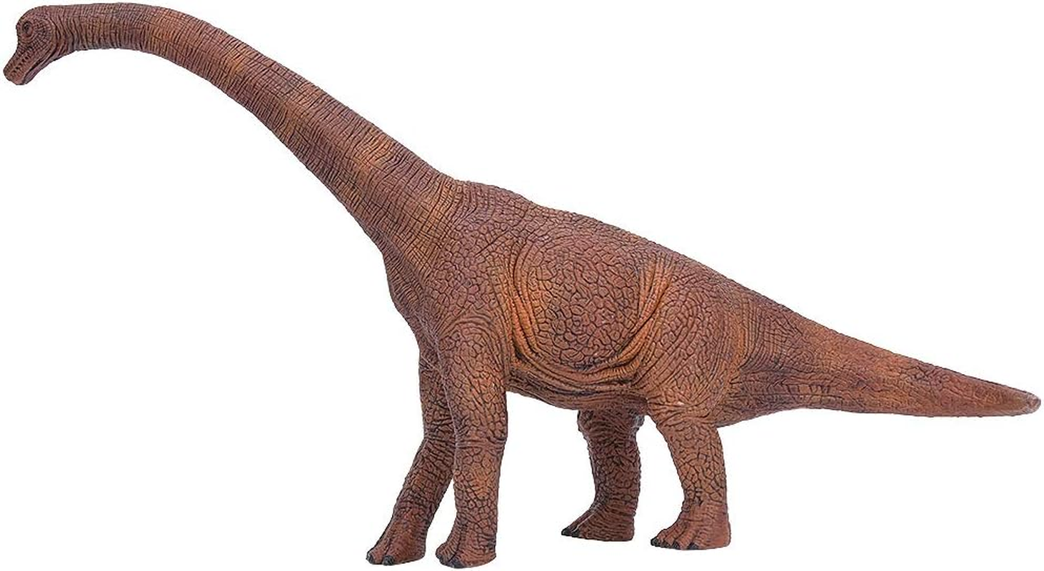 Plastic Material Simulation Animal, Simulation Brachiosaurus Shape Exquisite Workmanship and Safe Educational Toy, Children for Kid image number 5