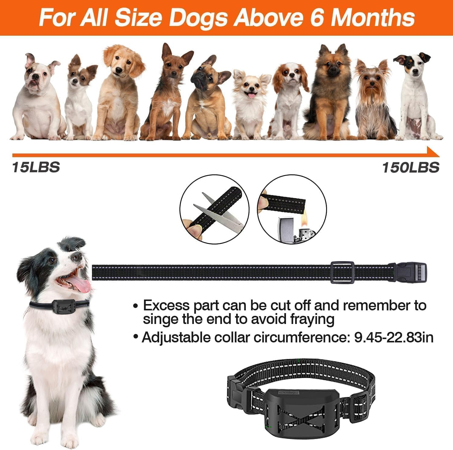 MINYII Wireless Dog Fence System, Electric Fence for 2 Dogs Shocks Training Collar 2-In-1, Adjustable Pet Training Collar Receiver for the Yard, Harmless, Environment Protection image number 5