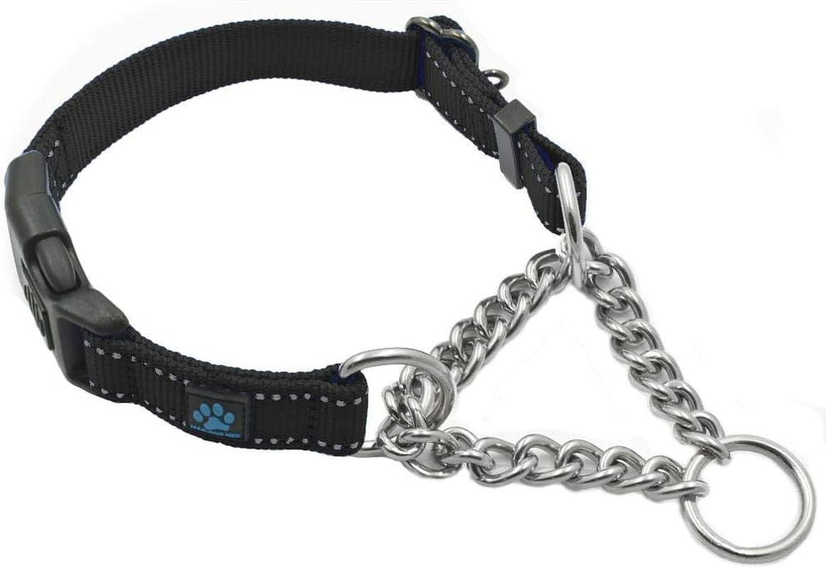 Max and Neo Stainless Steel Chain Martingale Collar - We Donate a Collar to a Dog Rescue for Every Collar Sold (Medium, Teal)