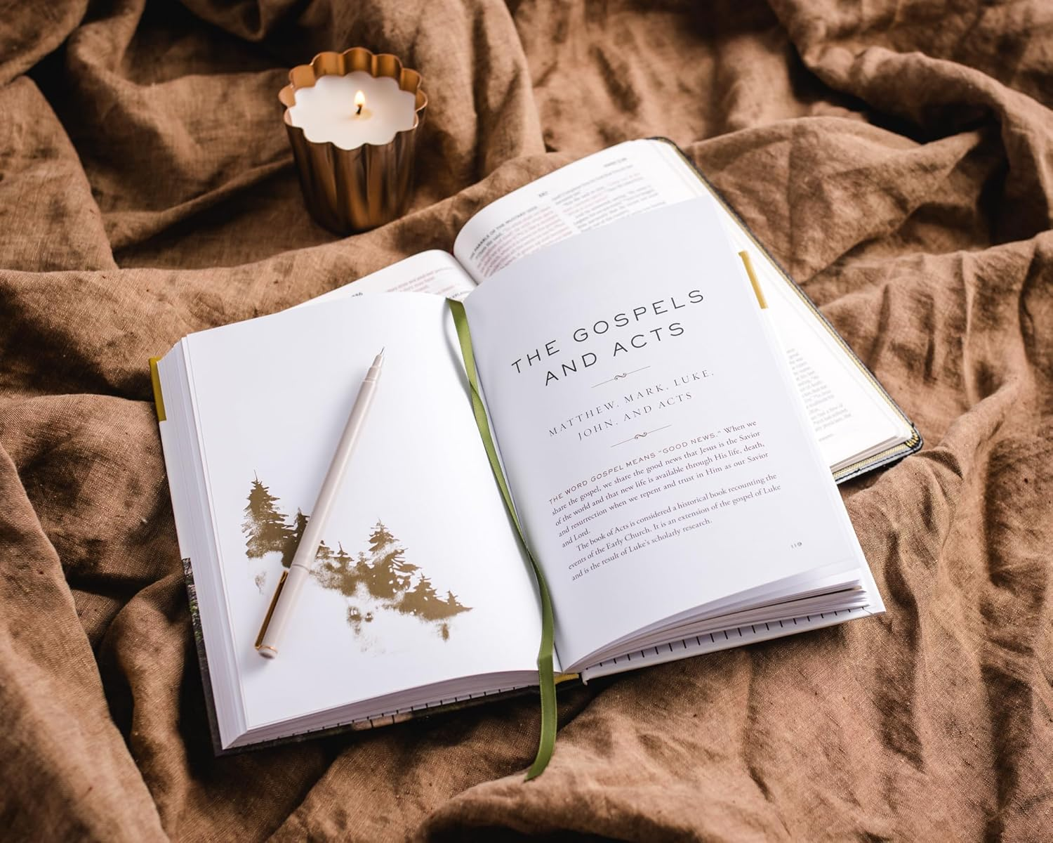 The Whole Story: a 52-Week Devotional Journey through Every Book of the Bible image number 3