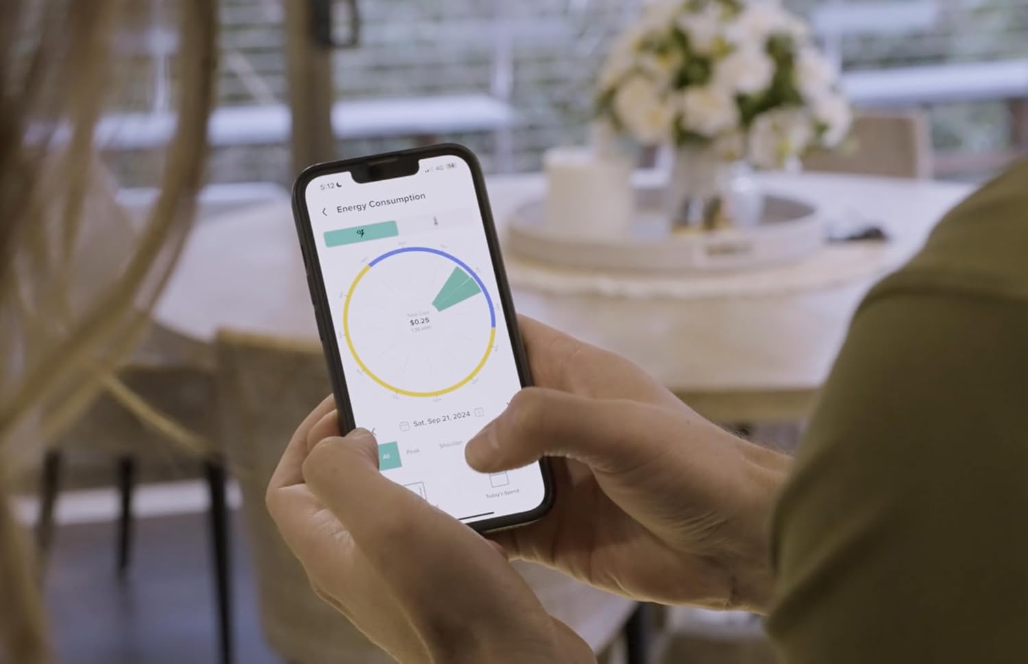 Emerald Live Link - Connects to Your Emerald Electricity Advisor - Emerald Planet image number 2