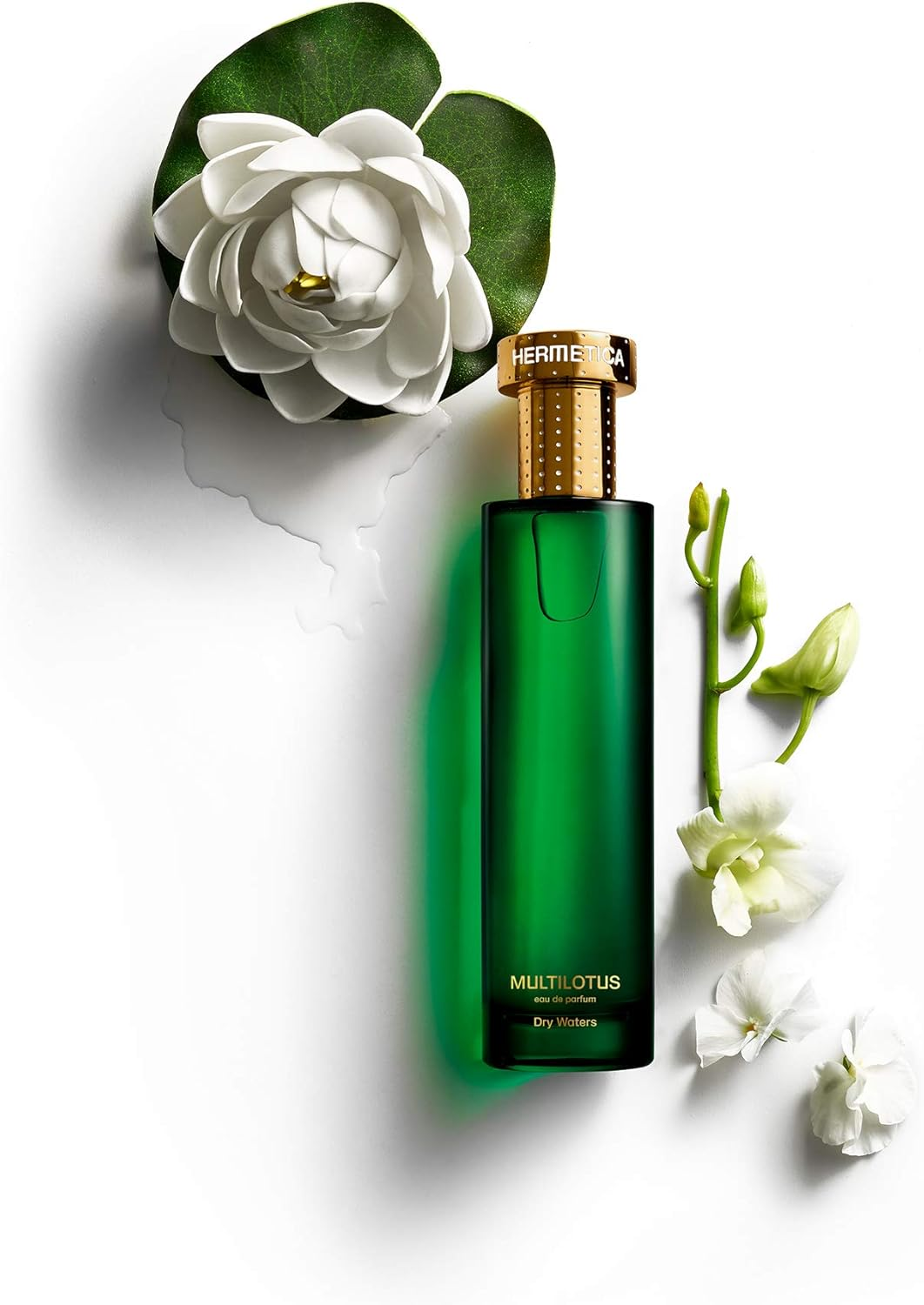 Hermetica Multilotus image number 2