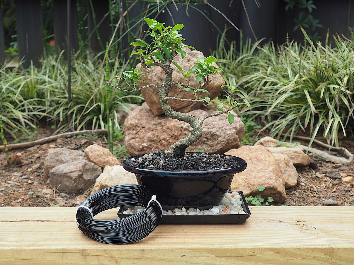 Anodized Aluminium 1.0Mm Bonsai Training Wire 250G Large Roll (375 Feet) - Choose Your Size and Color (1.0Mm, Black) image number 4