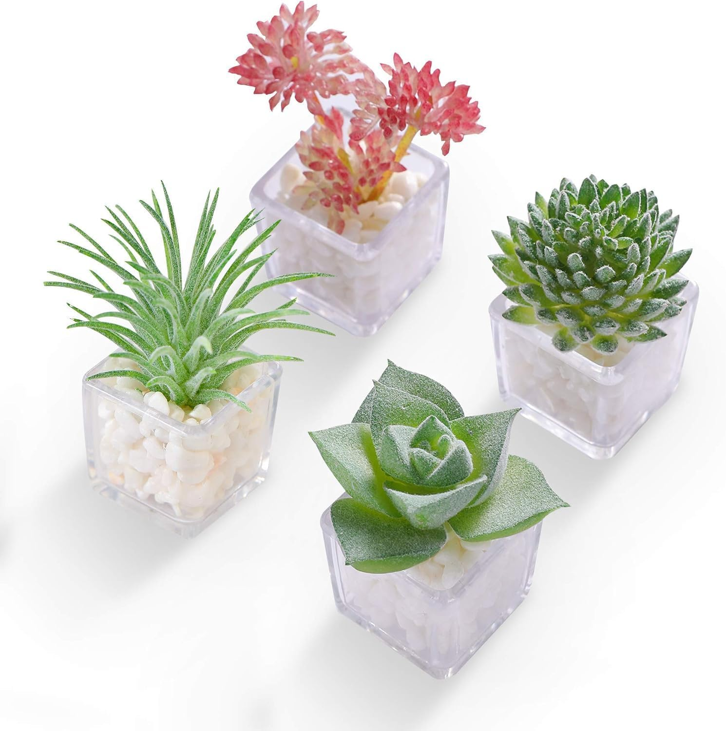 Cute Succulent Refrigerator Magnets Plants Fridge Magnets,Mini Artificial Magnets for Refrigerator Set of 4,Decoration Kitchen,Whiteboard,Office,House