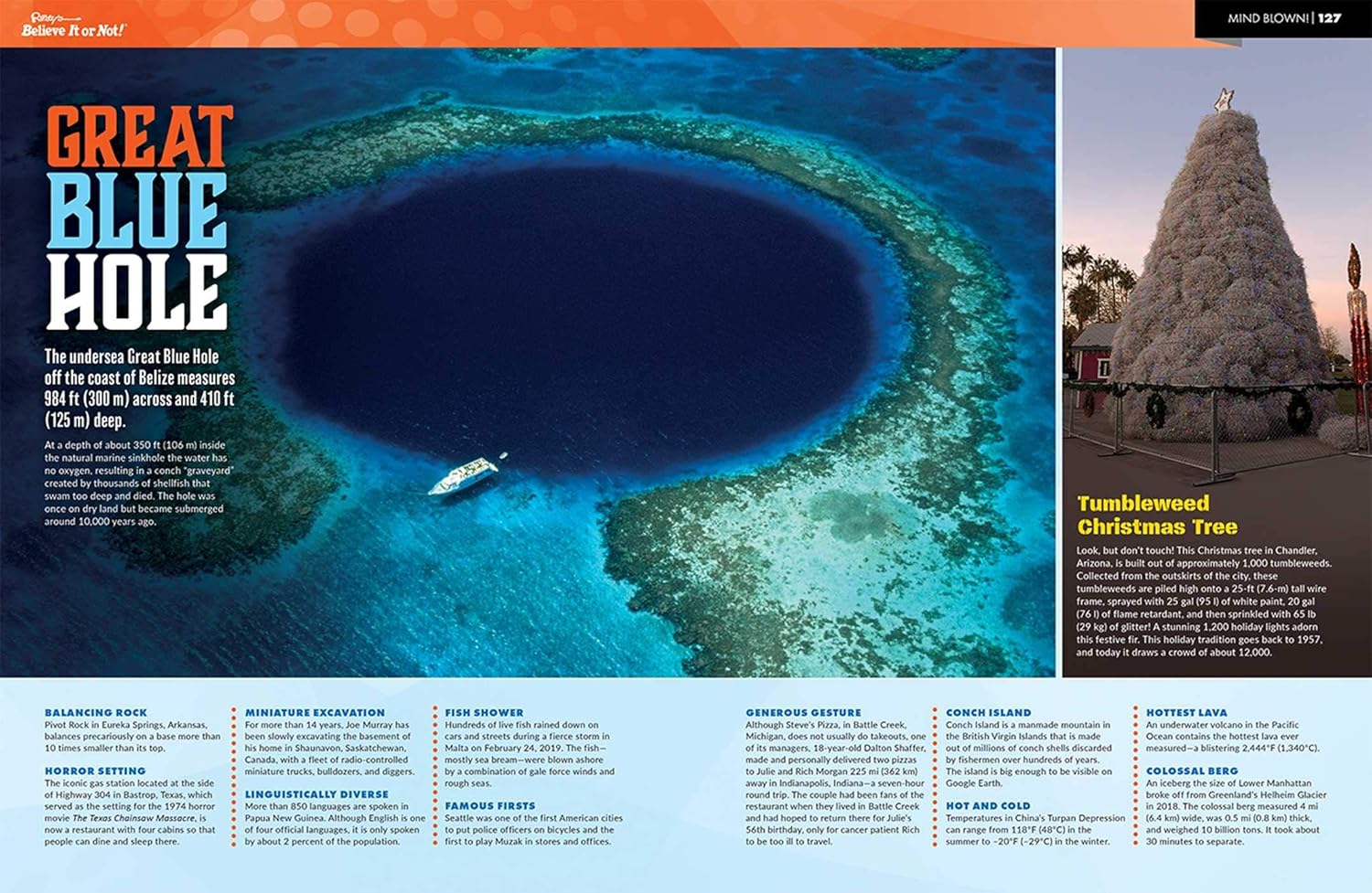 Ripley'S Believe It or Not! Mind Blown (17) (ANNUAL): Volume 17