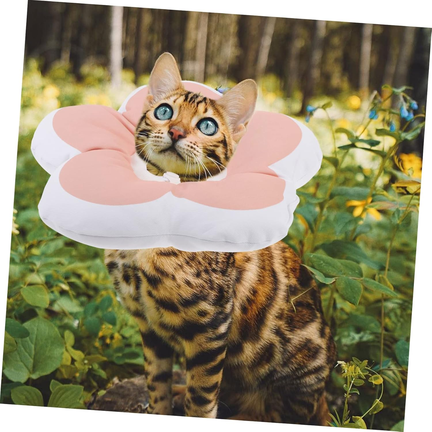 POPETPOP Practical Cat Collar Scratch Neck for Soft Protective Collar for Cats and Dogs image number 4