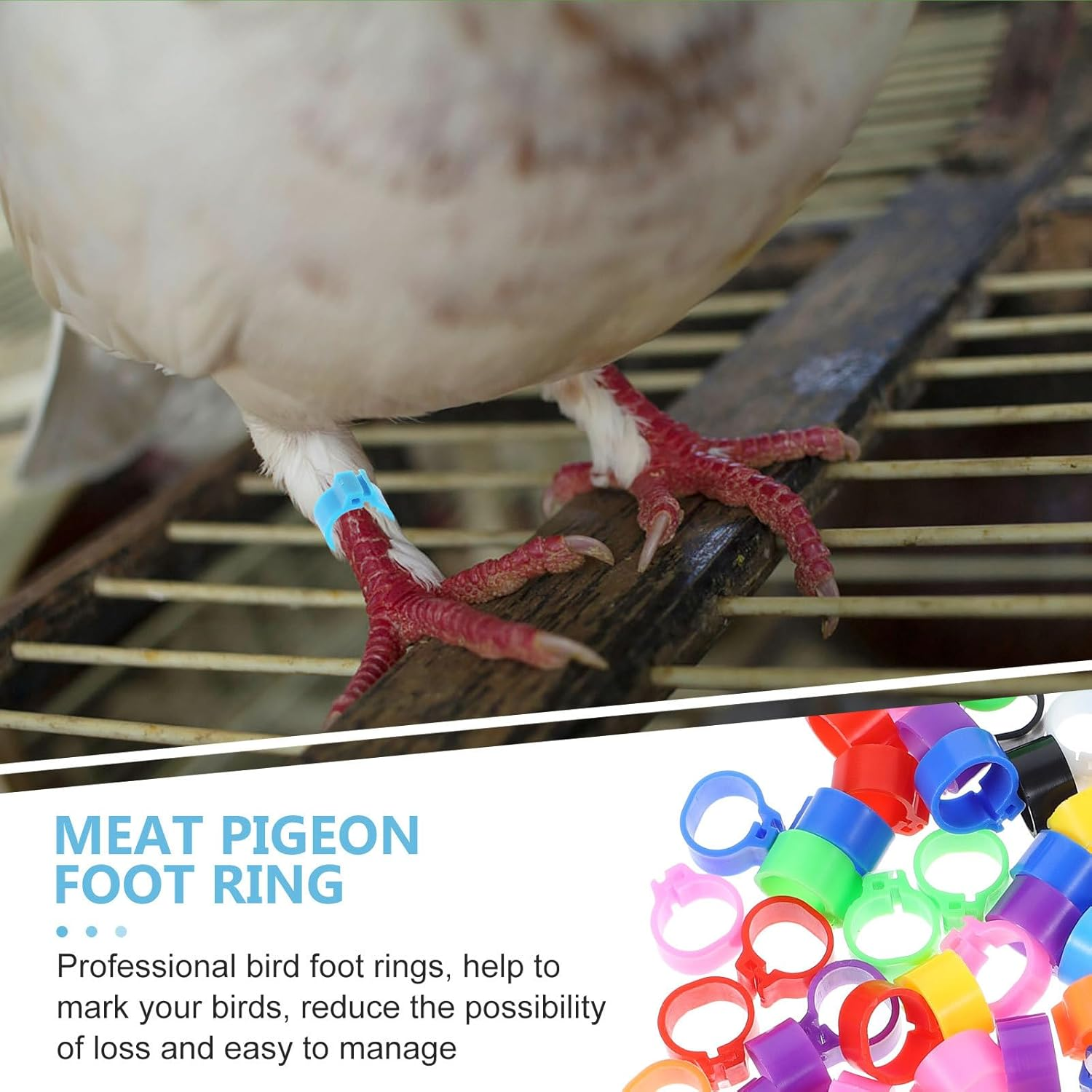 Kisangel Pigeon Foot Rings Bird Leg Bands 100Pcs Plastic Identification Rings for Pigeons Parakeets Cockatiels and Small Birds Bird Supplies image number 5