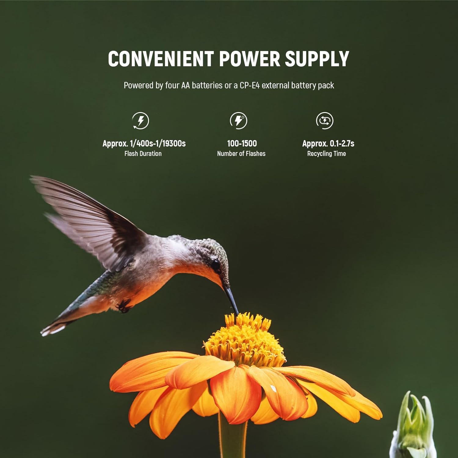 NEEWER RF1-C Marco Ring Flash Compatible with Canon,76Ws GN15 5600K E-TTL Ring Flash Lighting,1-1/128 Output,Front/Rear Curtain Sync,Color Gels,Lens Adapter Rings for Macro Photography image number 1