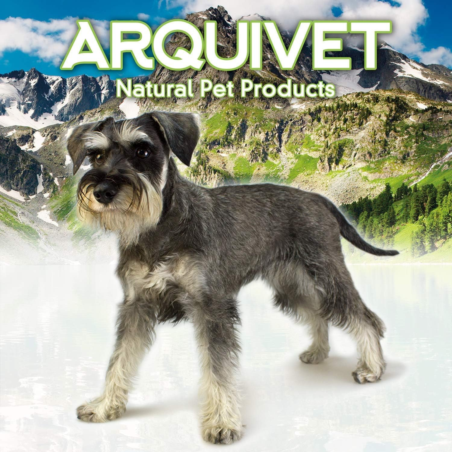 Arquivet Educational and Interactive Toy for Dogs and Cats image number 1
