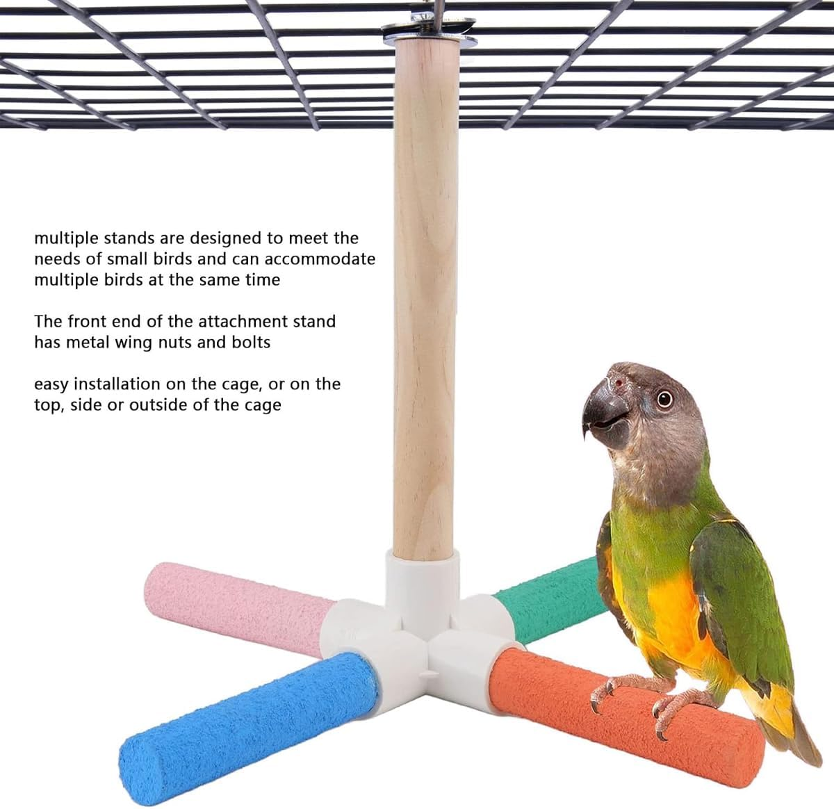 AIMALL Colorful Parrot Perch Stand &ndash; Cross Scrub Grinding Claw Bar for Birds, Easy to Install, Measures 7.09 Inches image number 6