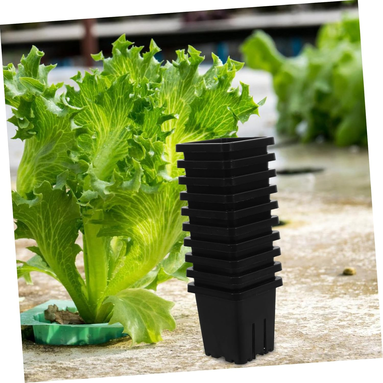 GAROZATION 10Pcs Hydroponic Basket Pots Square Plastic Mesh Plant Containers for Indoor and Outdoor Gardening Hydroponics Vegetable Growing System Accessories image number 5