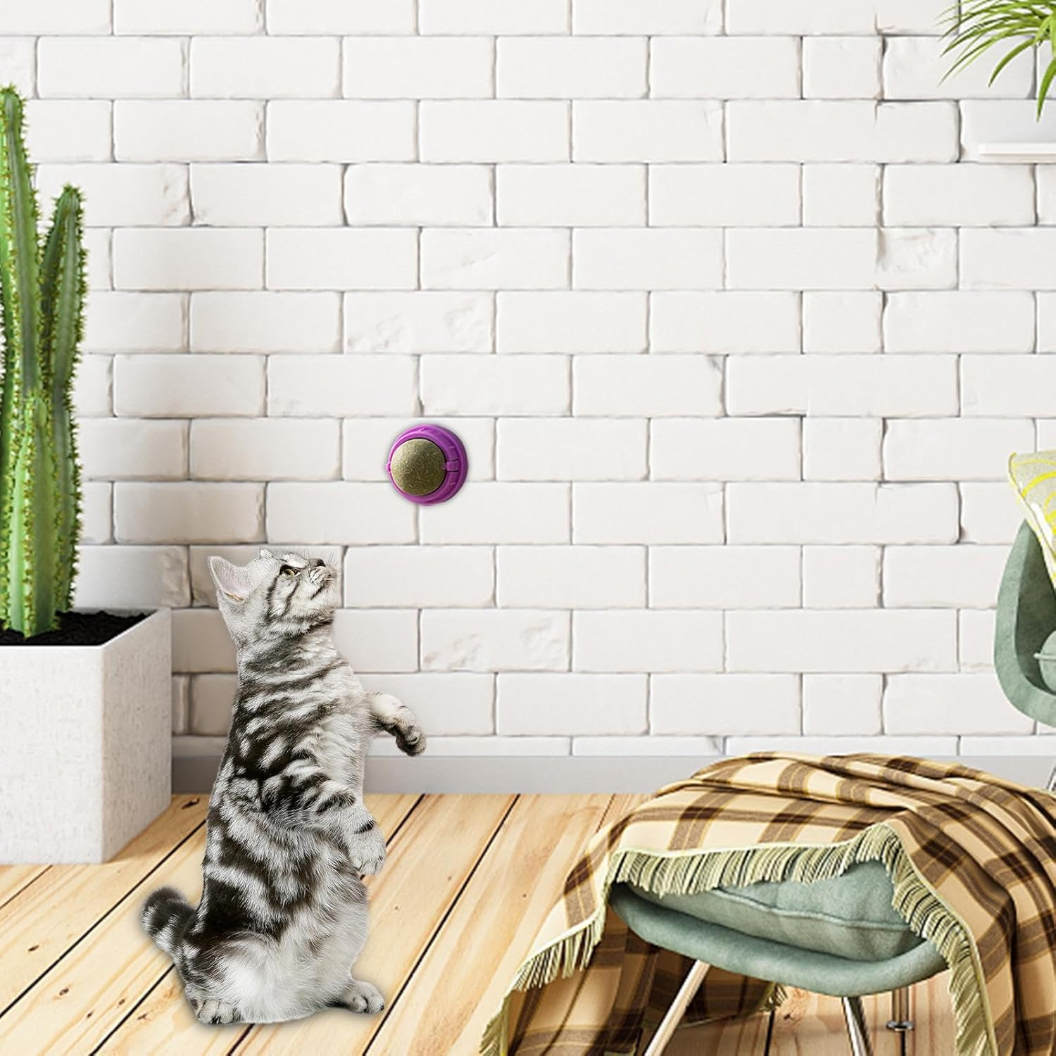 Catnip Wall Ball Toy | Rotatable Edible Kitten Toys for Cats Lick - Healthy Teeth Cleaning Chew Toys, Organic Ball Edible Kitten Toys, Cat Wall Treats, Catnip Lickable Balls Borato image number 2