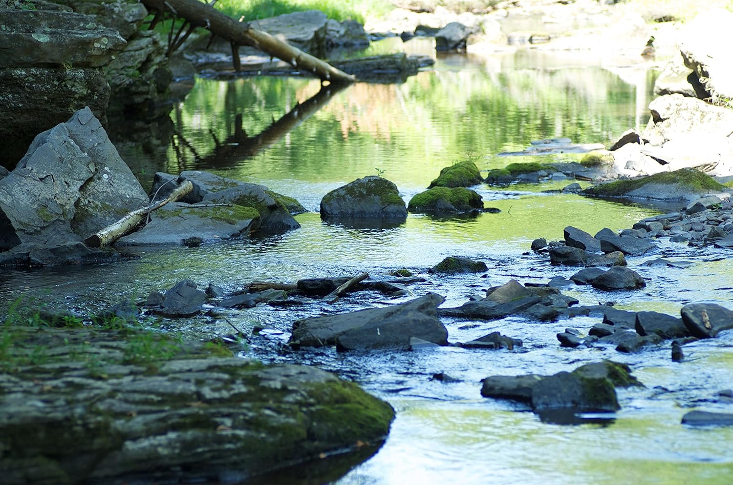 Change Your Brain, Change Your Life (Revised and Expanded): the Breakthrough Program for Conquering Anxiety, Depression, Obsessiveness, Lack of Focus, Anger, and Memory Problems image number 2