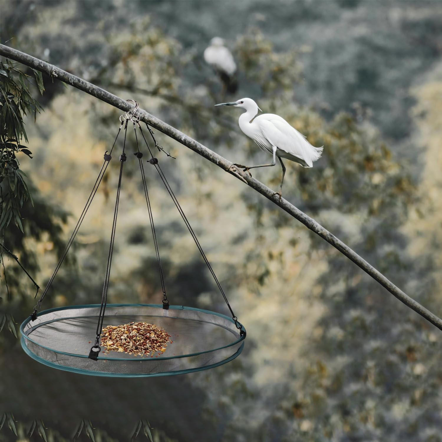 Lyreh 2 Pcs Bird Seed Shell Trays with 8 Pcs Hooks, Hanging Bird Seed Tray Holder Platform Feeder for Attracting Birds Outdoors Backyard Home Garden image number 1