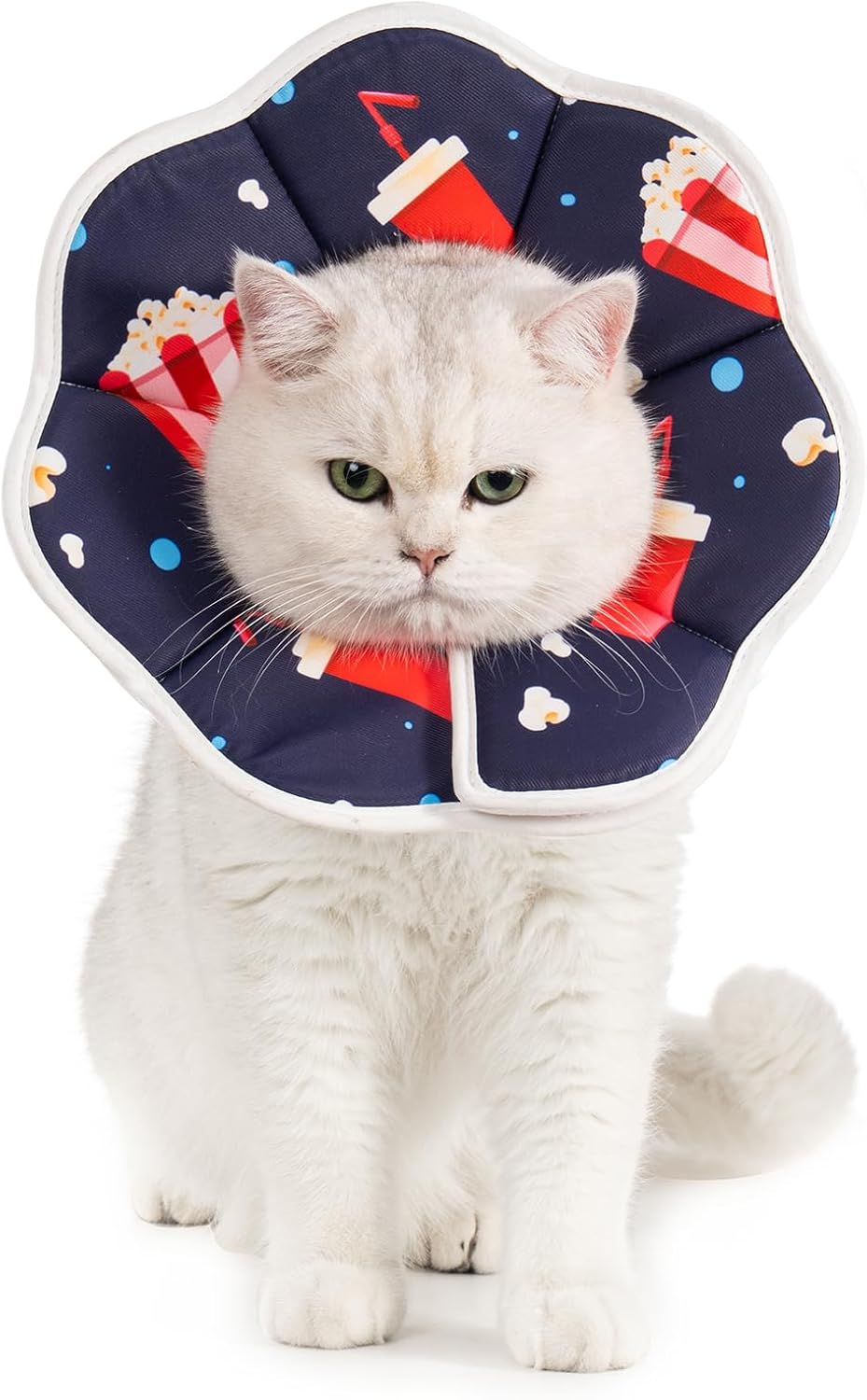Avont Soft Cat Recovery Cone Collar, Adjustable Cat Elizabethan Collar for Cats and Small Dogs, Comfortable Cone to Stop Licking after Surgery, Lightweight Twill Fabric E-Collar -Skate(M)