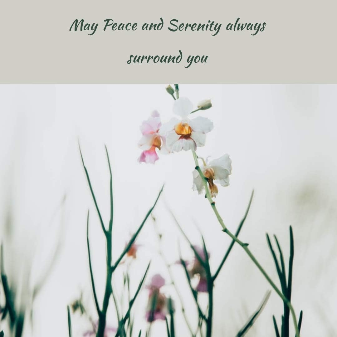 Greenwood Essential Pure Sweet Wormwood Essential Oil (Artemisia Annua) with Glass Dropper Steam Distilled for Personal Care (Pack of Three) 100Ml X 3 (10Oz) image number 2