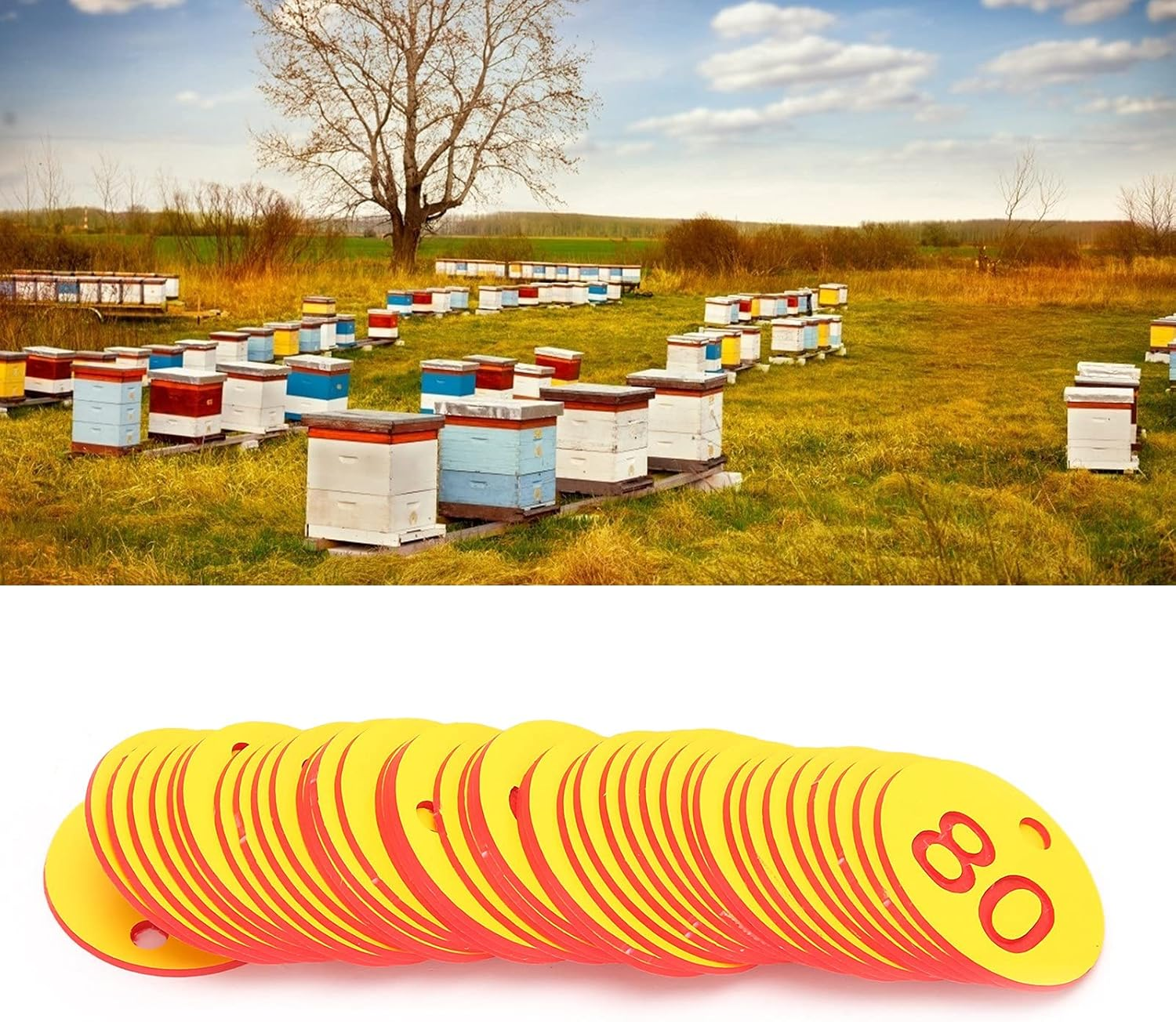 Fdit 50Pcs Beehive Marker Number Marker Perforated Number Beehive Mark with Hole Livestock Accessory Red+Yellow for Beekeeping image number 5