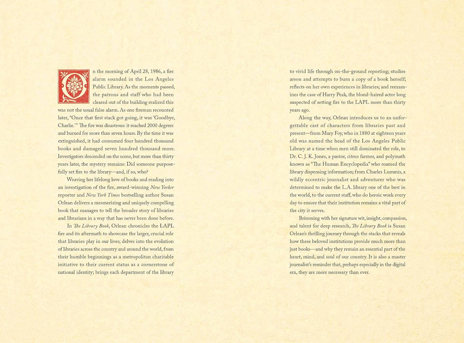 The Library Book image number 4