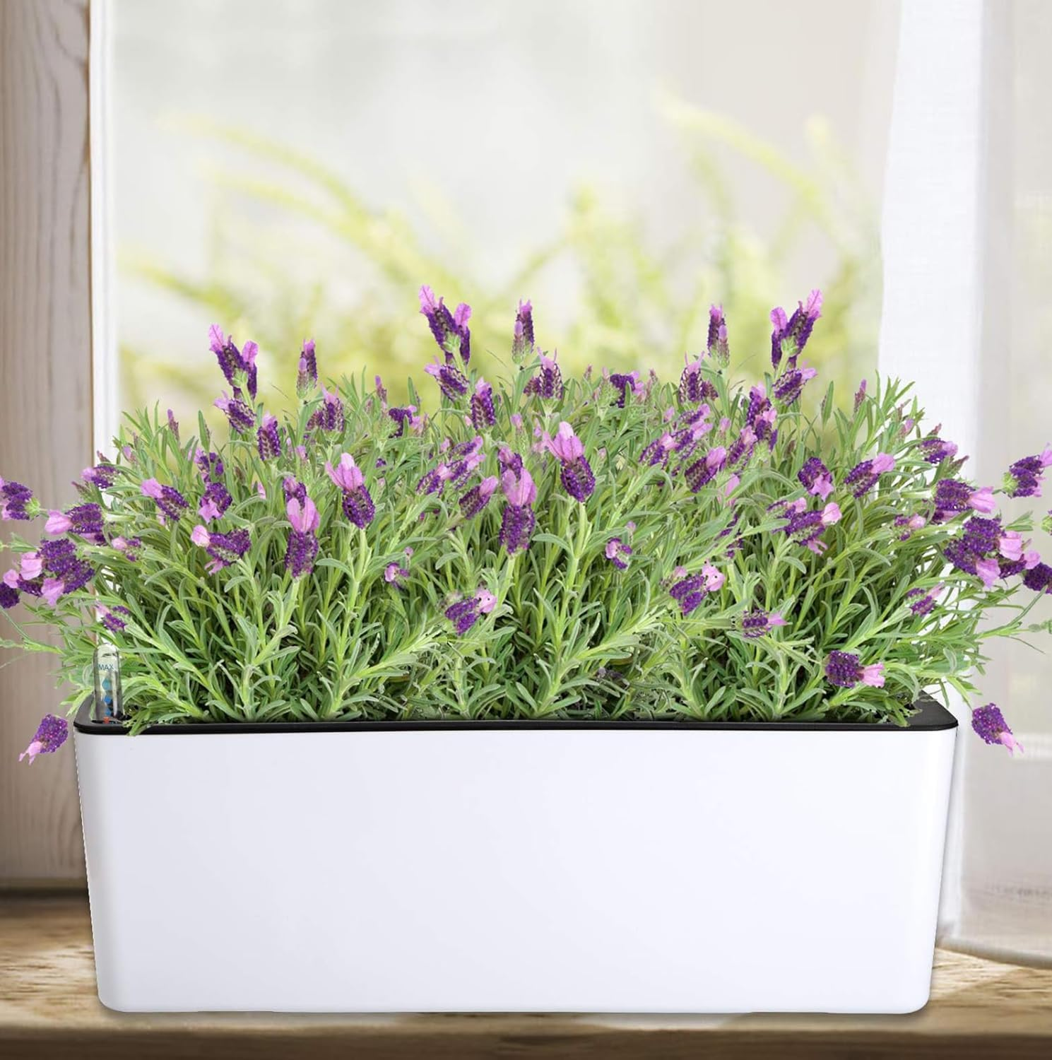 Self Watering Planters Rectangular Window Herb Planter Box for Indoor Plants Garden Balcony, Window Sill Planters with Water Gauge Indicator (2Pcs) image number 1