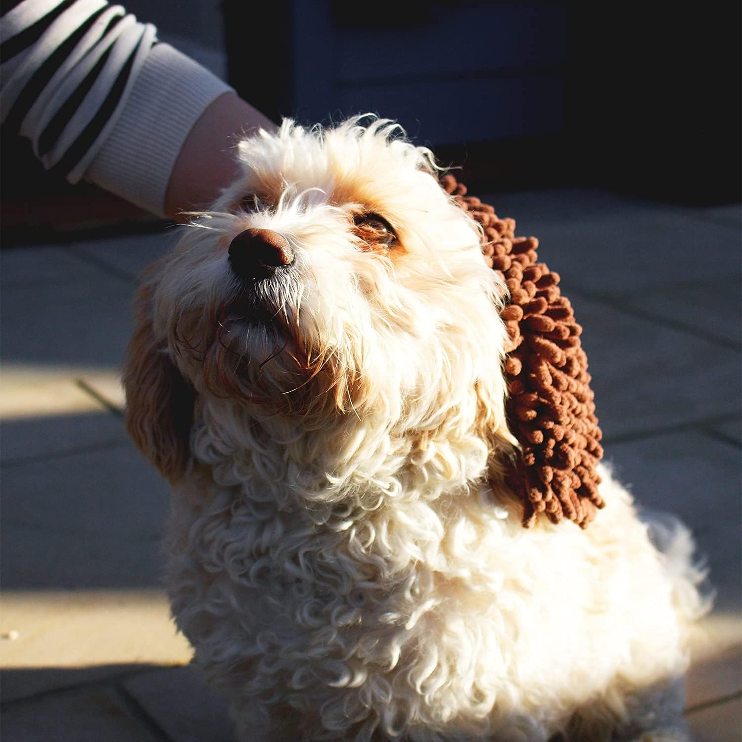 Dog Gone Smart Dirty Dog Grooming Mitt, Brown - Grey image number 2