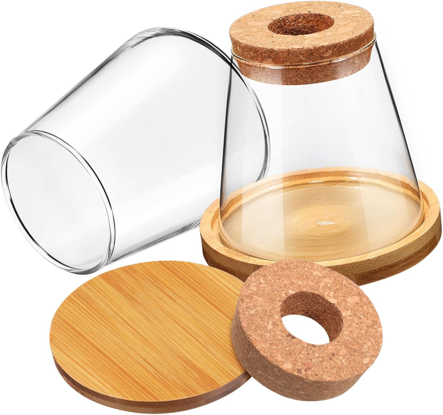 2Pcs Hydroponic Planter Glass Propagation Station with Bamboo Stand and Perforated Wooden Stopper 330Ml for Indoor Water Planting and Terrarium Gardening image number 6