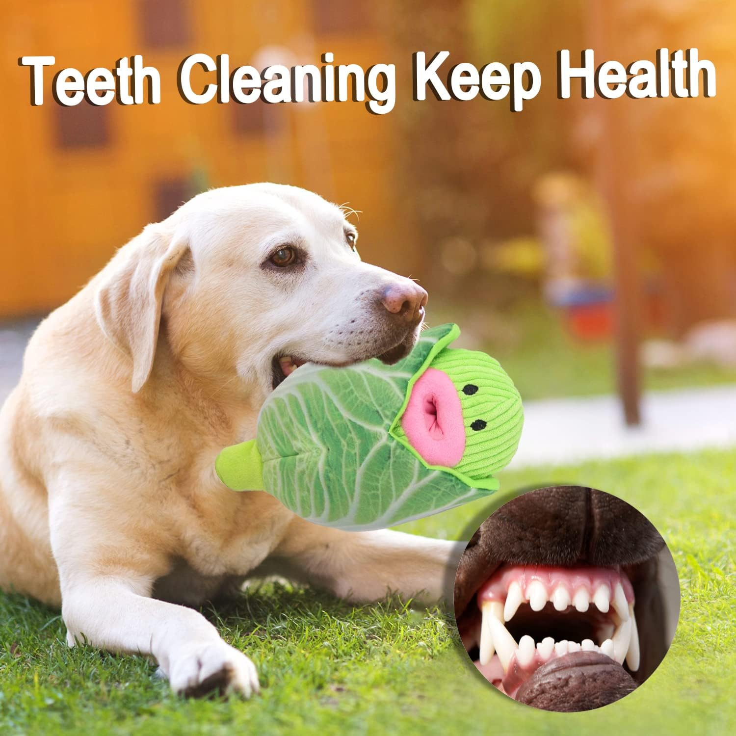 Puzzle Squeaky Dog Toys - Iziv Interactive Puppy Vegetable Plush Snuffle Toy, Food Leakage Dog Chew Toys, Dog Training Toy for Small/Medium Dogs, Treat Dispensing Game(Cabbage) image number 4