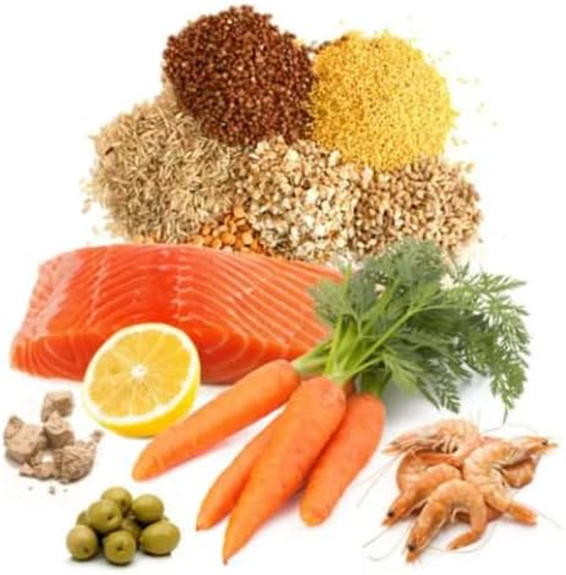 Prodac Goldfish Premium Flake Food, 50 Grams