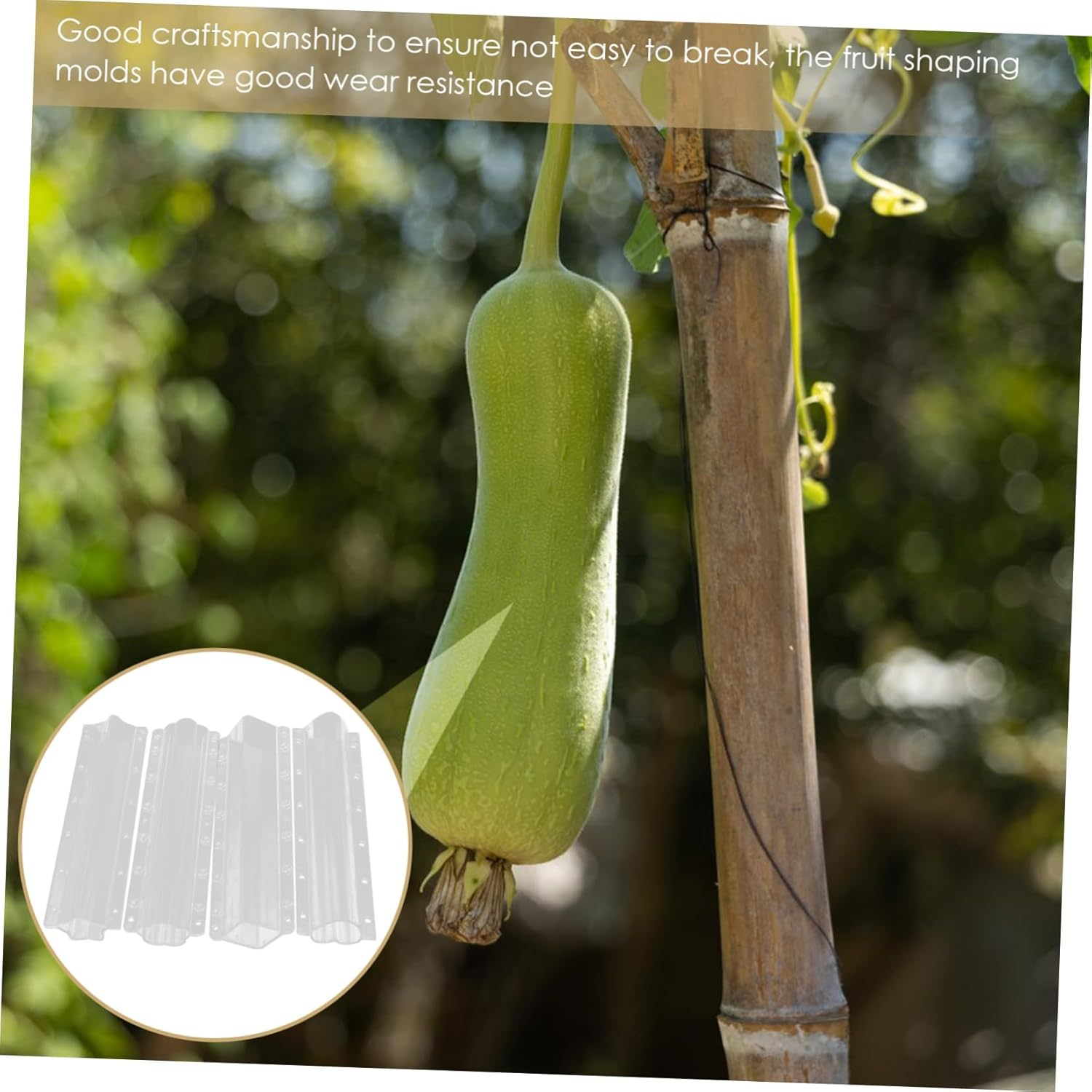 BESPORTBLE 4Pcs Vegetable Fruit Shaping Molds Molds Melon Ginseng DIY Gardening Outdoor Vegetable Growing Reusable image number 4