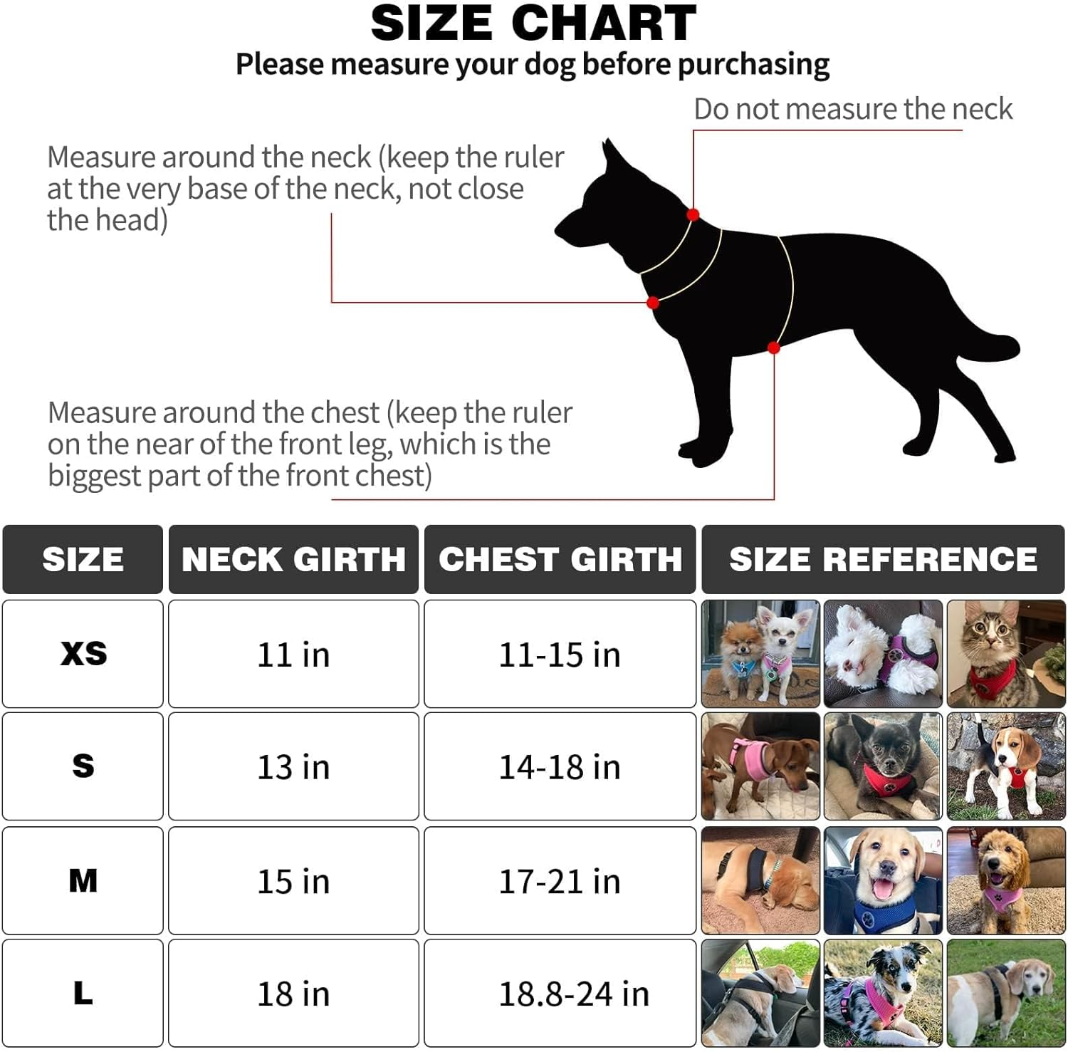 BINGPET Dog Vest Harness -Light Weight Breathable Sports Mesh - Pet Adjustable Harness Puppy Padded Harnesses Dog Vest Harness for Small Dogs image number 1