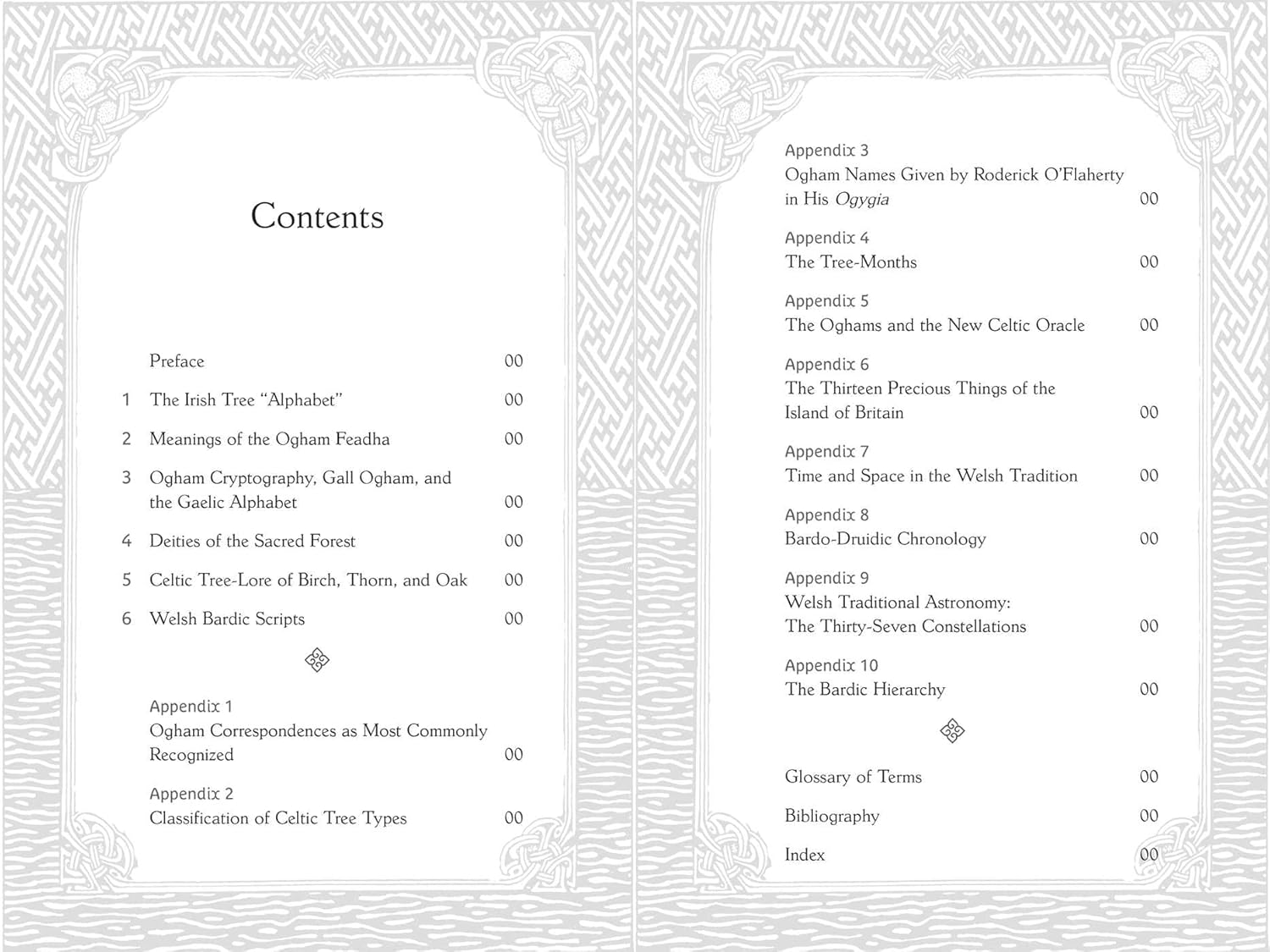 Celtic Tree Alphabets: Mystic Signs and Symbols of Ogham and Coelbren image number 5