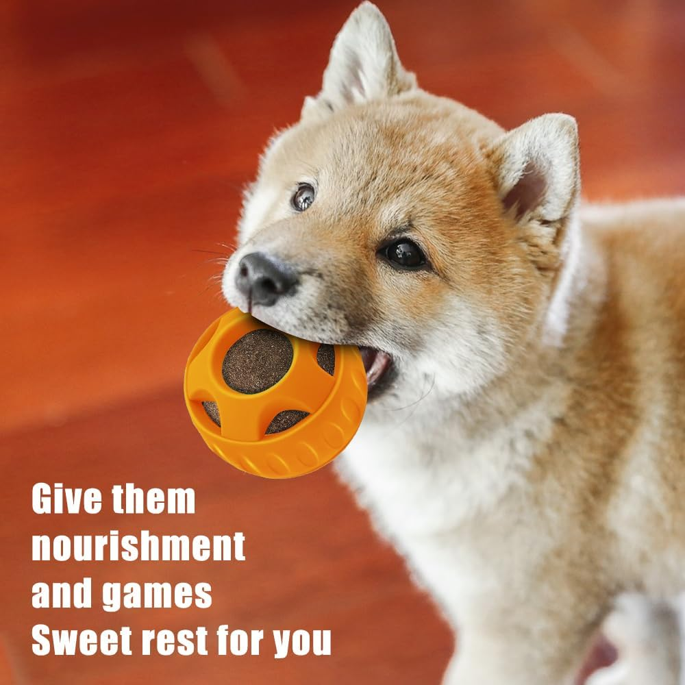 XPJBKC Lick Ball for Dogs, Dog Toy Ball, Woof Pupsicle, Durable Lick Ball Dog Set, Pupsicle Dog, Anxiety Relieve Interactive Dog Toy (Ball + Tray) image number 5