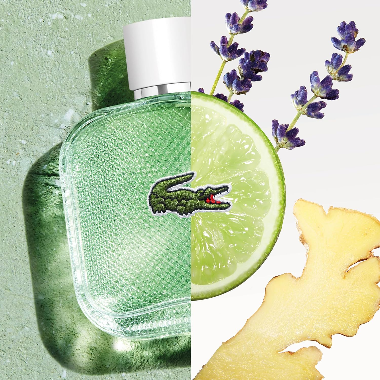 Lacoste L.12.12 Blanc Fraiche Eau De Toilette Parfum for Men 100 Ml image number 2