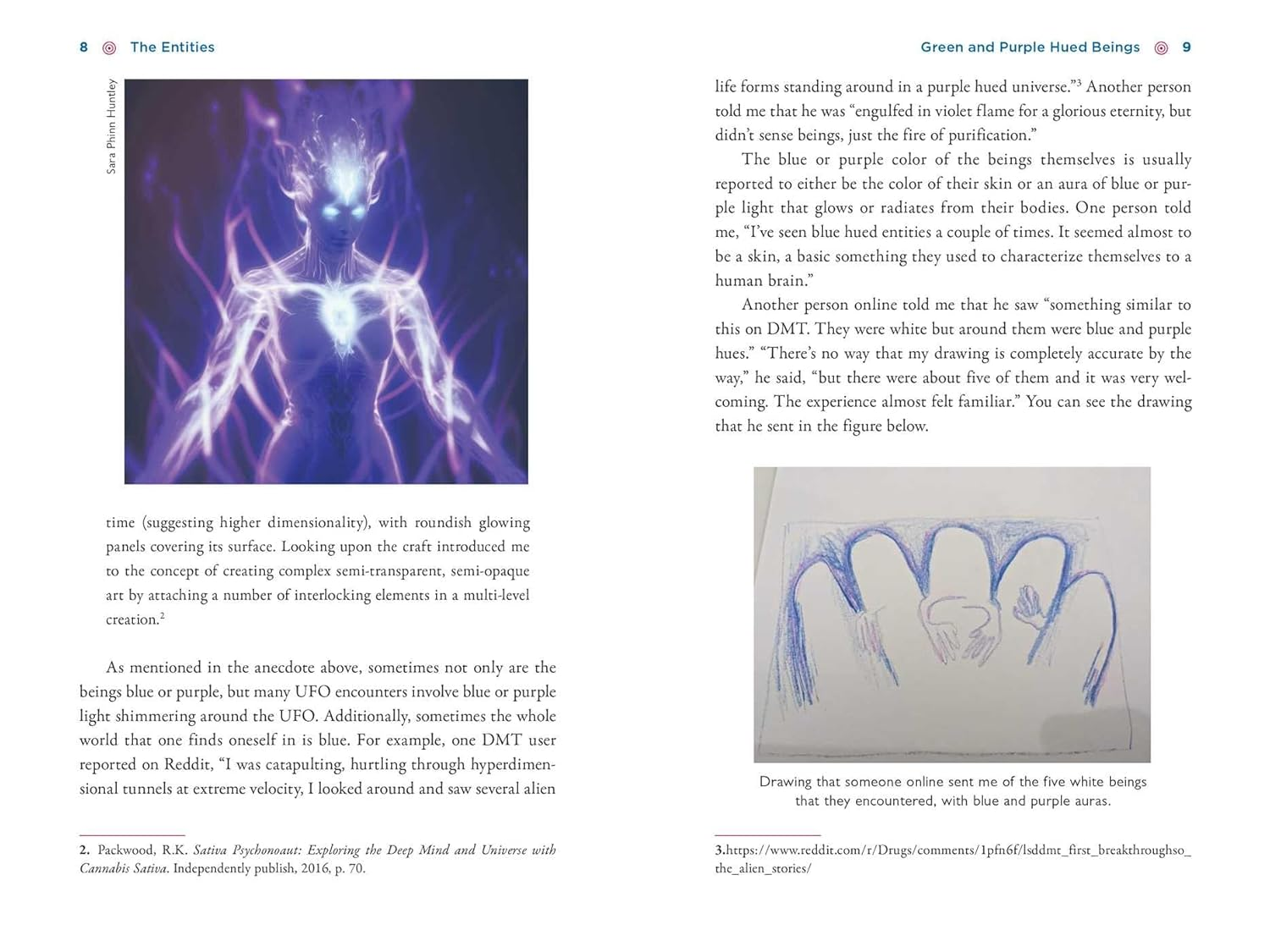 The Illustrated Field Guide to DMT Entities: Machine Elves, Tricksters, Teachers, and Other Interdimensional Beings image number 1