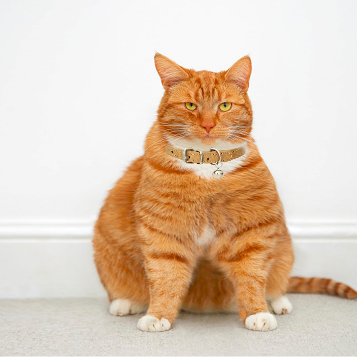 QIXNBL Pack of 4 Cat Collars, PU Material Collars, Metal Buckle with Bells, Adjustable Collars for Pets, Cute Pet Accessories image number 4