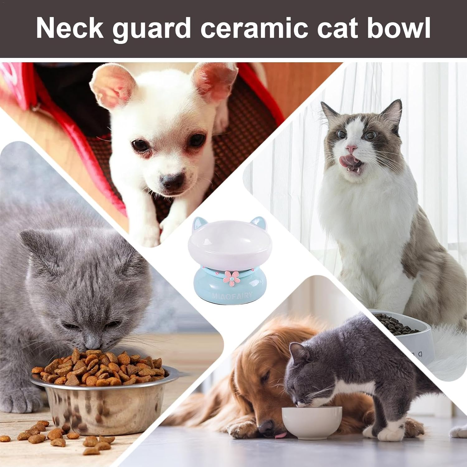 Ceramic Cat Food Bowls - anti Vomiting 15 Degree Tilted Cat Dish | Slanted Mouth, Raised Cat Bowls with Non-Sip Stable Base for Indoor Cats Kittens image number 5