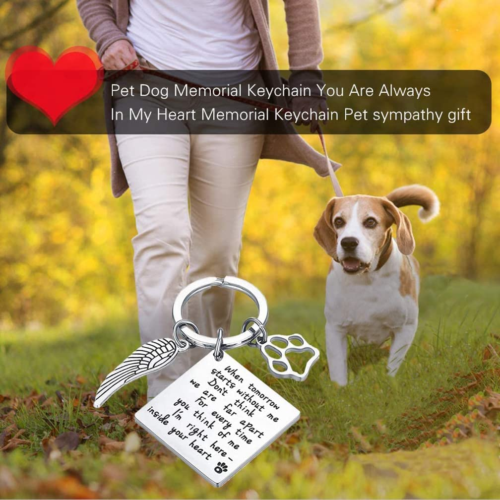 Pet Memorial Gift Loss of Dog Keychain Sympathy Loss of Cat Gift Pet Loss Keyring in Memory of Dog Pet Sympathy Cat Lover Family Friends Remembrance Gifts (Memorial A)