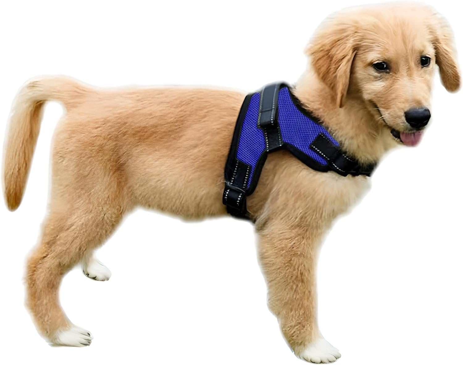 Copatchy No Pull Reflective Adjustable Dog Harness with Handle (Xx-Small, Blue) image number 4