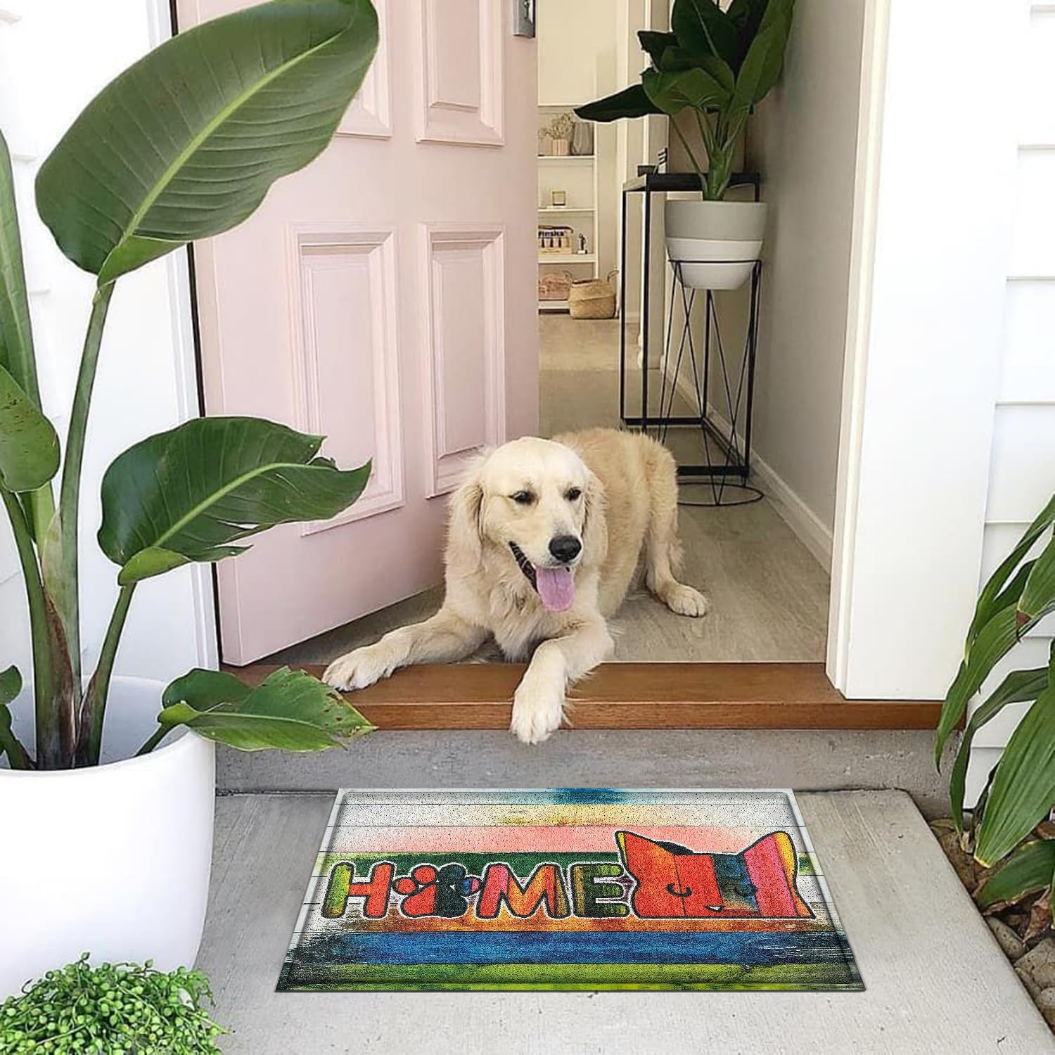 JJUUYOU Funny Cat Front Door Mats Welcome Mat for Home Entrance Doormat Outdoor Indoor Non Slip Rubber Backing Black Doormat Waterproof Floor Doormats Porch Shoe Rugs image number 2