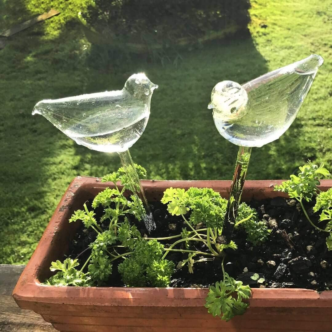 3 Pack Plant Waterer Self Watering Globes,Bird Shape Hand Blown Mini Durable Clear Glass Aqua Bulbs for Indoor Plants, Gifts for Plant Lovers image number 5