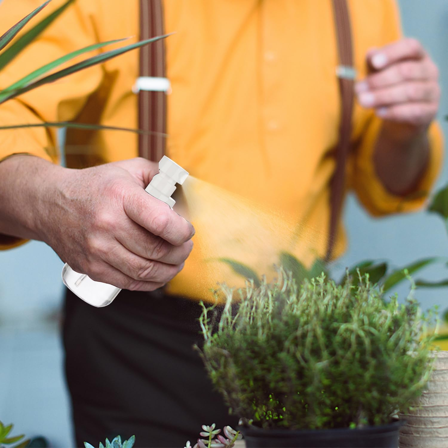 GIVITASOT 3Pack Small Spray Bottle, 1Oz Mini Spray Bottles, Empty Travel Spray Bottle, Fine Mist Plastic Spray Bottles (Clear+Green+Pink) image number 1